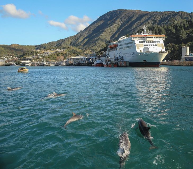 Wellington and Picton: Interislander Ferry - On Board Experience