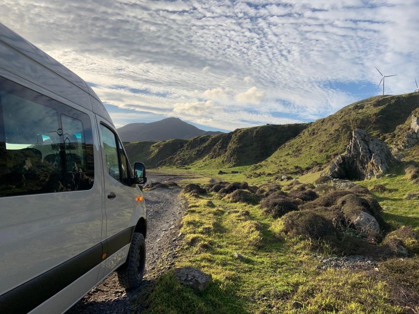 Wellington: Half Day Seal Coast Safari - Experience Highlights