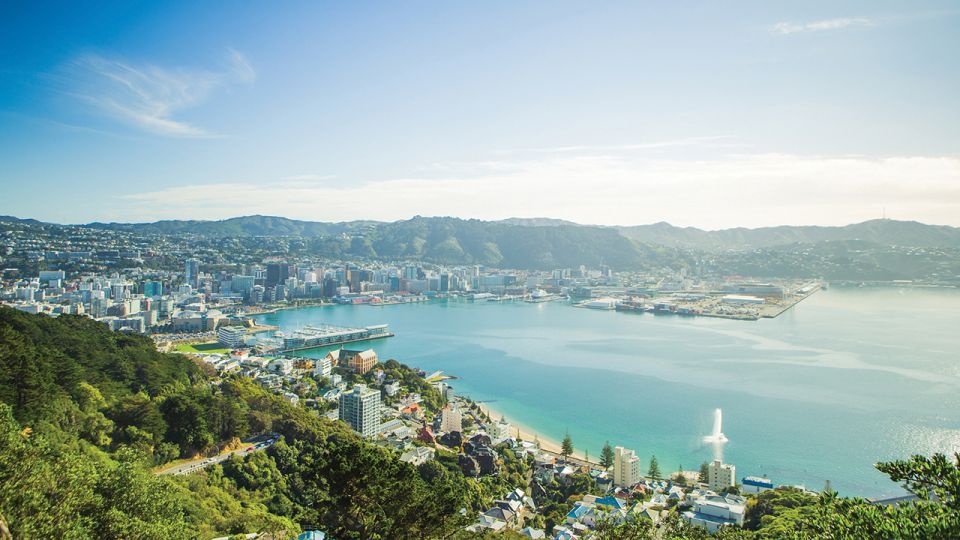 Wellington: Scenic Harbour Helicopter Flight - Experience Highlights