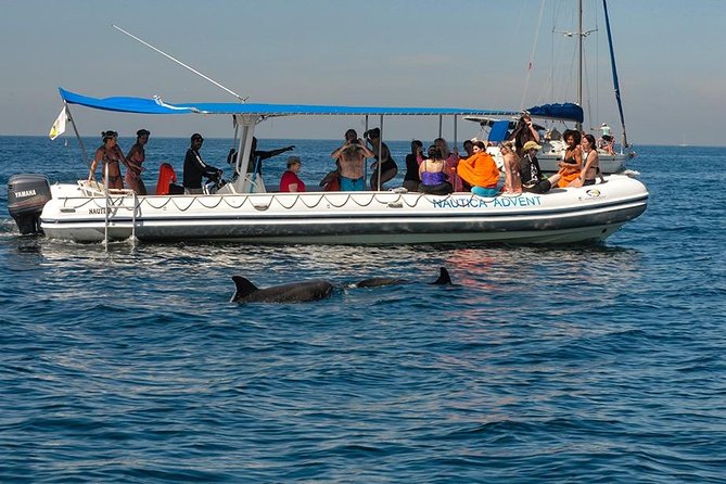 Whale and Dolphin Watching With a Biologist in Puerto Vallarta - Cancellation Policy