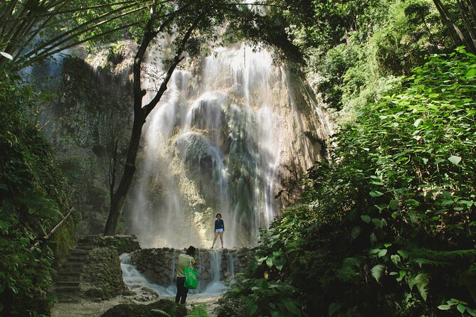 Whale Shark Encounter and Tumalog Waterfalls Tour - Cancellation Policy