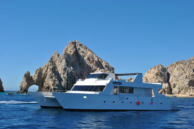 Whale Watching Cruise in Los Cabos - Duration and Inclusions