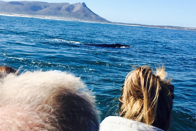 Whale Watching Tour in Hermanus With Hotel Pickup - Cancellation Policy and Weather Considerations