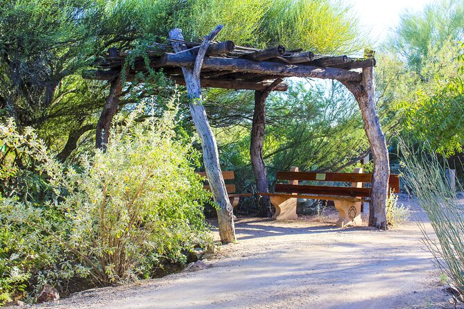 When Nature Calls - Exploring the Sonoran Desert - Cultural Insights and History