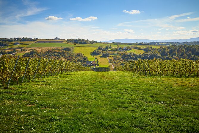 Wieliczka Vineyard: Wine Tasting With Local Snacks - Tasting Experience Highlights