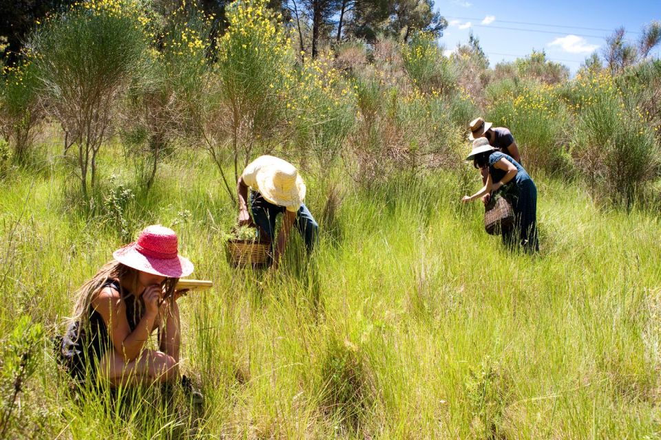 Wild Walk: Discover the Local Wild Flora - Background