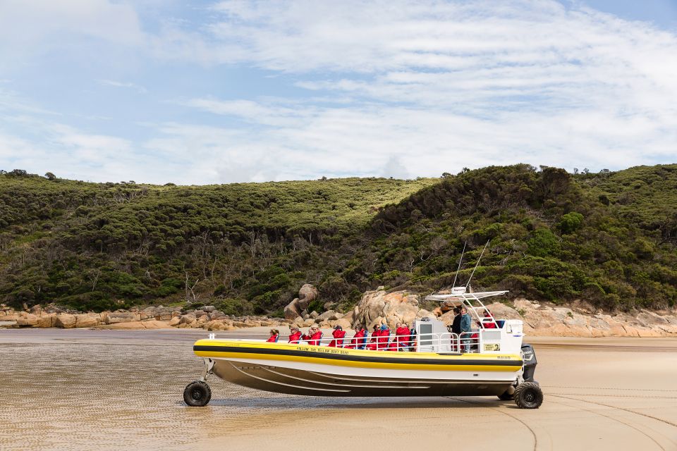 Wilsons Promontory: Afternoon Wilderness Cruise - Detailed Itinerary of the Wilderness Cruise