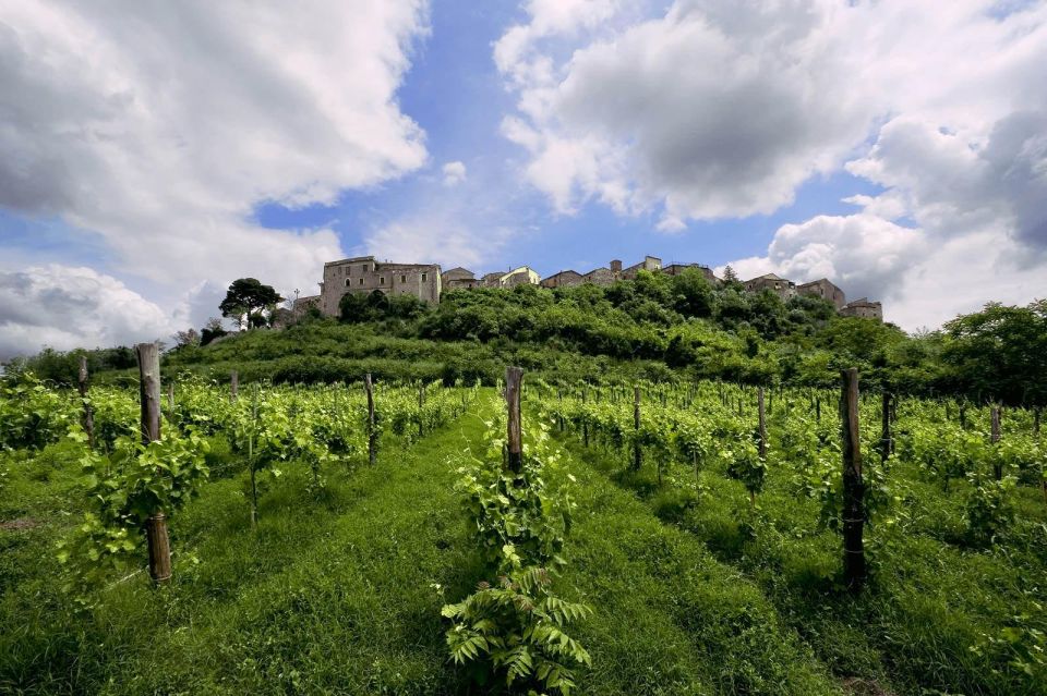 WINE TASTING LUXURY TOUR - TENUTA FEUDI DI SAN GREGORIO - Activity Highlights