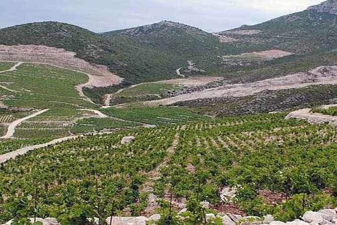 Wine Tasting Private Tour to Peljesac - Booking Information