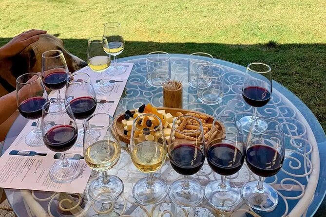 Wine Tasting Tour at Two Wineries in Urla Turkey - Winery Atmosphere