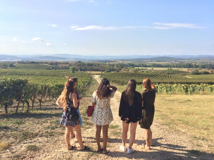 Wine Tour Cathar Country - Experience Highlights