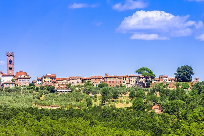 Wine Tour in the Countryside of Lucca With Lunch - With Minivan - Lunch in the Countryside