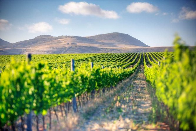 Winelands Full Day Tour - Booking Information