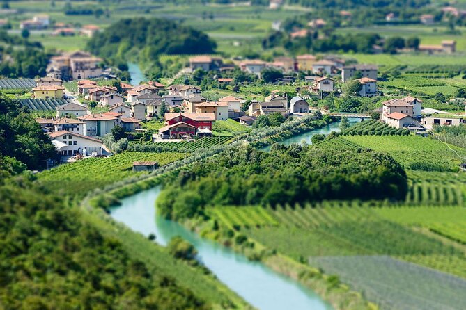 Winery Tour and Organic Wine Tasting in Trentino - Meet the Winemakers
