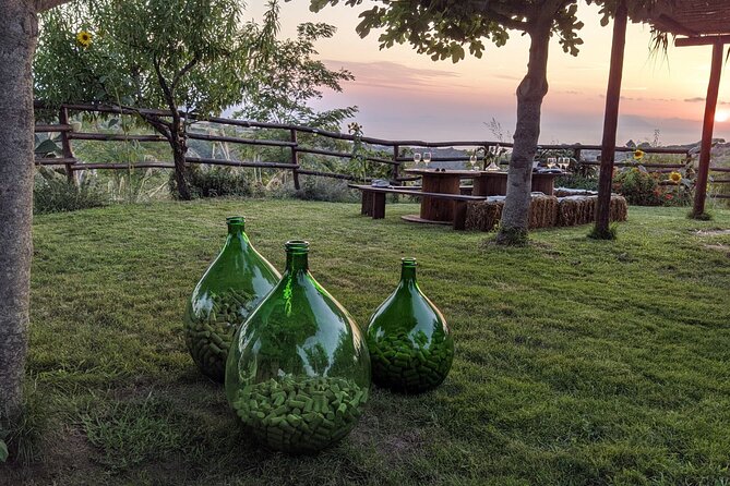 Winery Tour and Tasting at Sunset in the Countryside From Tropea - Tour Inclusions