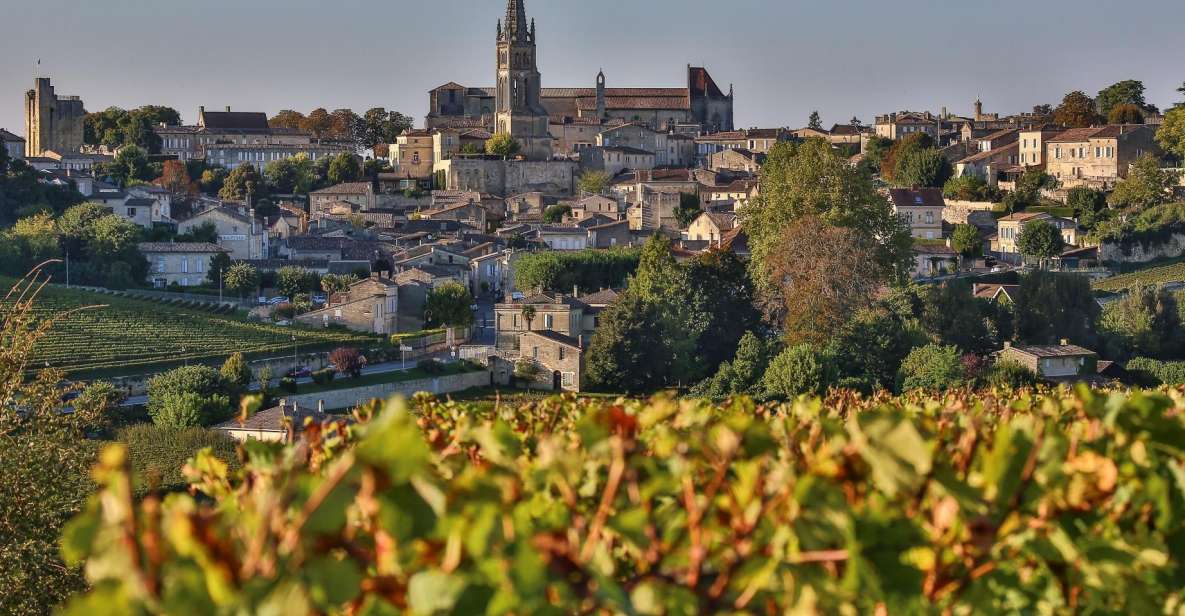 World Heritage Sites & Wineries of Saint Emilion With Lunch - Experience Highlights