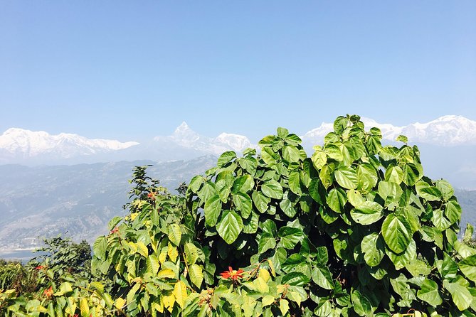 World Peace Stupa Day Hike From Pokhara - Experience Details