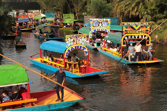 Xochimilco, Coyoacán & Frida Kahlo Museum - Feedback and Reviews