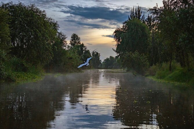 Xochimilco Sunrise From Mexico - How to Get to Xochimilco