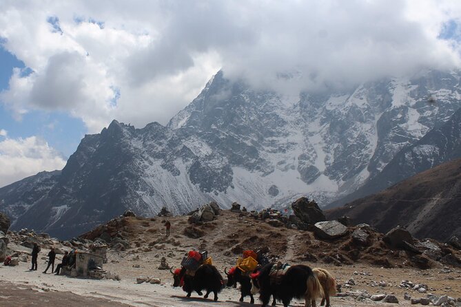 Yak Trekking to the Roof of the World: A Journey to Mount Everest - Essential Gear and Packing Tips