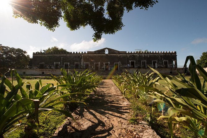 Yaxcopoil Hacienda & Uxmal Plus Cenote From Merida - Visitor Feedback