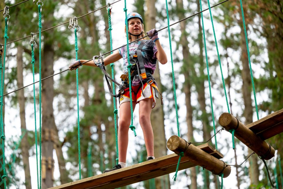 Yeodene: Tree Ropes Courses - Activity Description