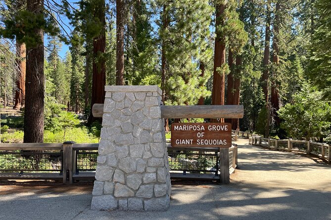 Yosemite National Park & Sequoias Private Tour From San Francisco - Visitor Reviews and Ratings