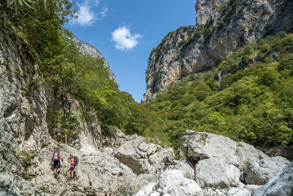 Zagori: Vikos Gorge Full-Day Guided Hike - Customer Reviews