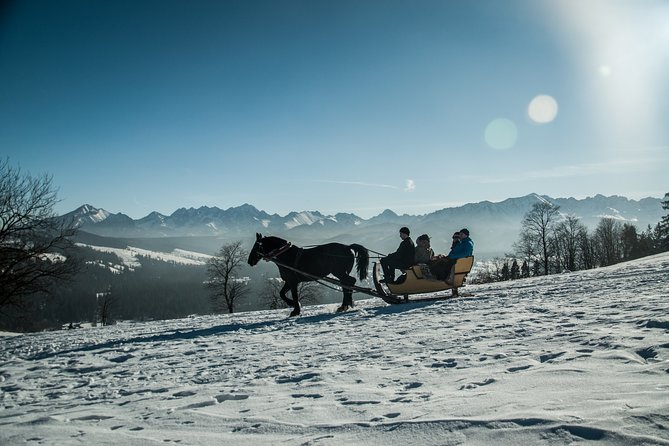 Zakopane and Horse Sleigh Ride in the Countryside, Private Tour From Krakow - Inclusions