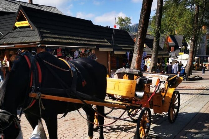 Zakopane Funicular Hill & Thermal Springs Regular Tour - Customer Reviews