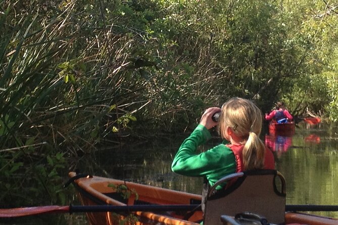 2Hour Everglades Kayak Safari Adventure Through Mangrove Tunnels - Key Points