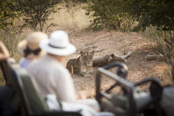 3 Day Kapama Southern Camp Safari - Key Points