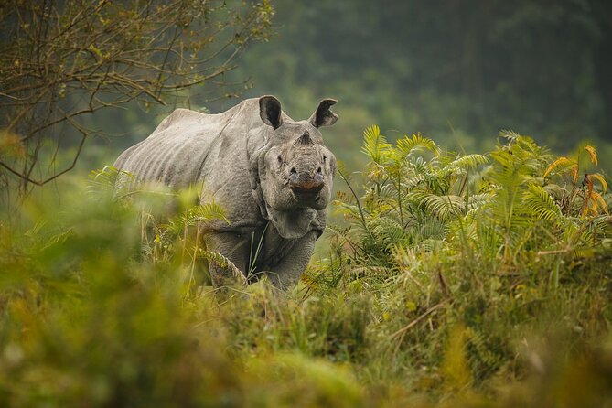 3 Days Private Tour in Chitwan - Key Points