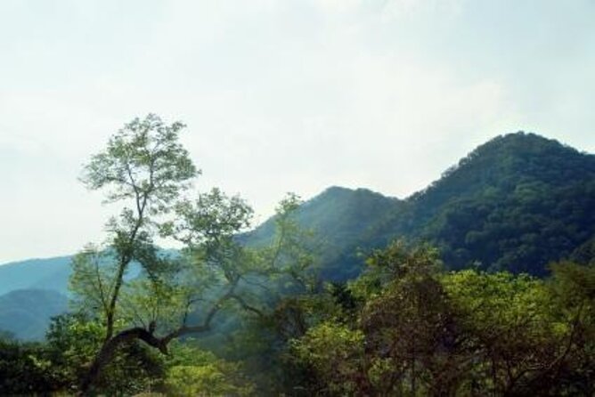 3-Hour Exclusive Guided RZR Adventure Sierra Madre Mountains Tour - Key Points