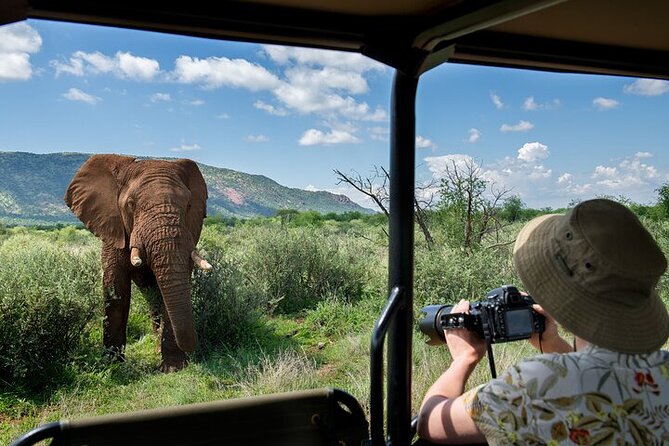 3-Hour Private Game Drive in Pilanesberg National Park - Key Points