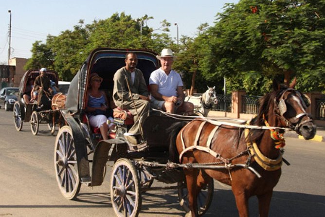 3-Hour Private Luxor Horse Carriage City Tour - Tour Overview