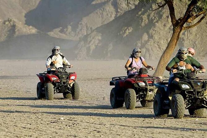 3 Hours Quad With Camel Ride From Marsa Alam - Key Points
