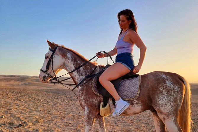 3 hours swimming by horse in red sea riding on the beach and dessert hurghada 3 Hours Swimming By Horse in Red Sea Riding on the Beach and Dessert - Hurghada