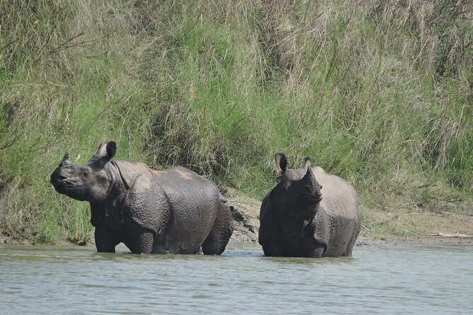 3 Nights 4 Days Bardia Tiger Tracking Tour / Bardia Jungle Safari - Key Points