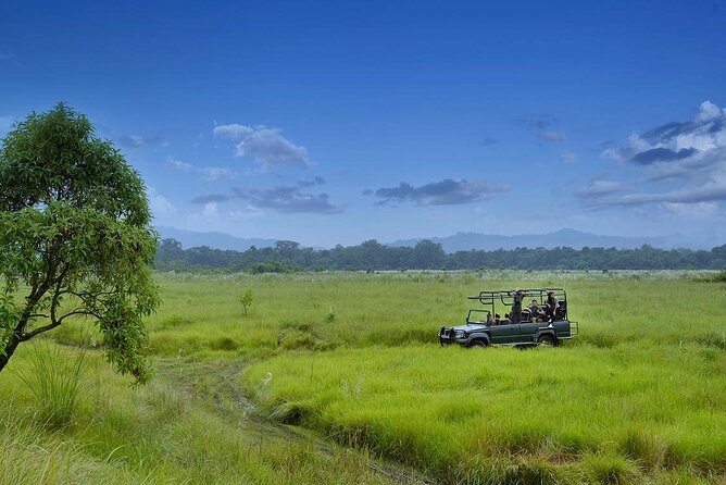 3 nights 4 days chitwan national park with tower night stay 2 3 Nights 4 Days Chitwan National Park With Tower Night Stay