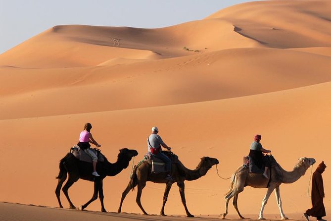 02 Days Tour !! Desert Safari With Night Camping and Citytour @ Ras Al Khaimahh - Accessibility Information