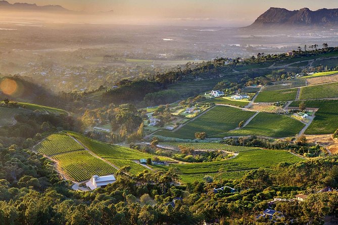 1 Day Cape Point and Constantia Wine Tour With Private Transfers - Itinerary Details