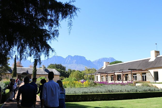 1 Day Helderberg Valley Winelands Tour With Private Transfers - Wine-Themed Activities