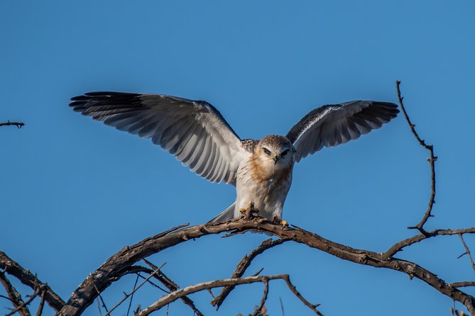 1 Day Photographic Wildlife Safari From Hazyview to Kruger Park - Cancellation Policy