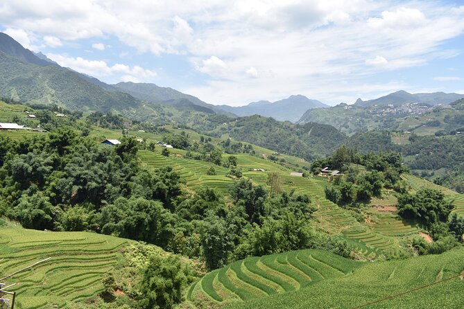 1-Day Private Trekking in Sapa Through Terraces Rice Fields - Immersive Local Village Encounters