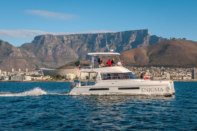 1 Hour Coastal Catamaran Cruise From Cape Town - Logistics