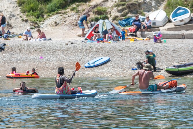 1-Hour Paddle Board on Southampton - Equipment Provided