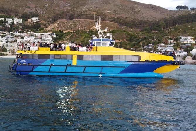 1 Hour Shared Boat Cruise in Cape Town Waterfront - Traveler Experience