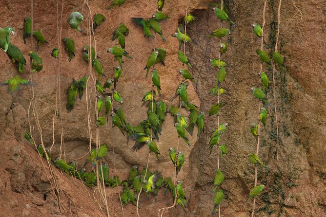 10-Day Galapagos and Amazon Quest - Guide Expertise and Sustainable Practices