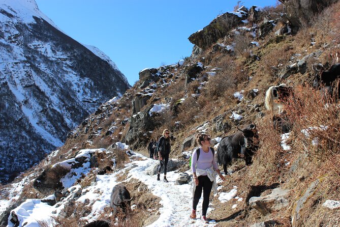 10-Days Private Langtang Valley Trek in Nepal - Accommodation and Meals Included